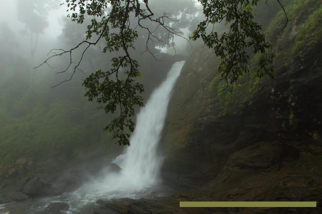 Wayanad Gate Resort Mananthavady Extérieur photo