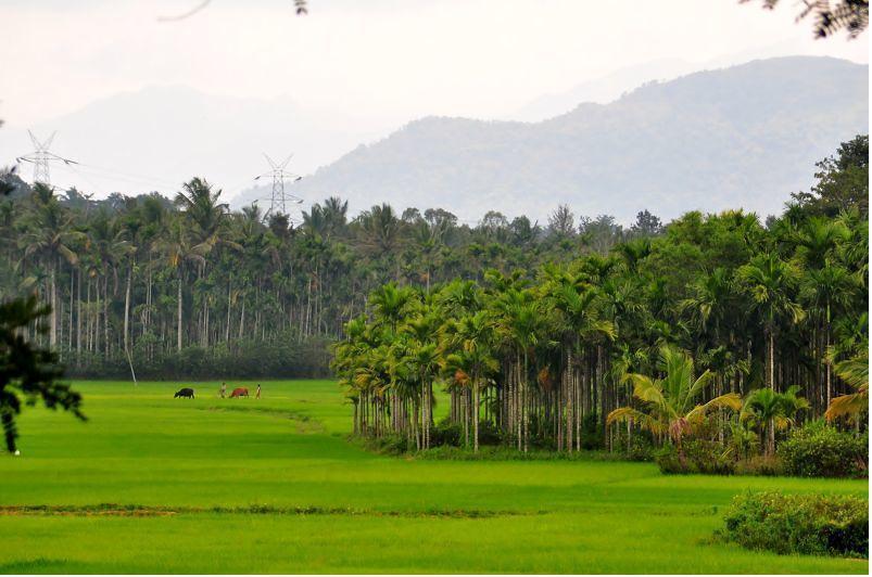 Wayanad Gate Resort Mananthavady Extérieur photo