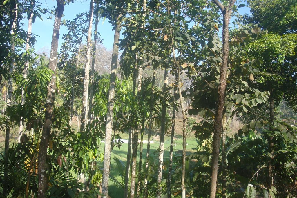 Wayanad Gate Resort Mananthavady Extérieur photo