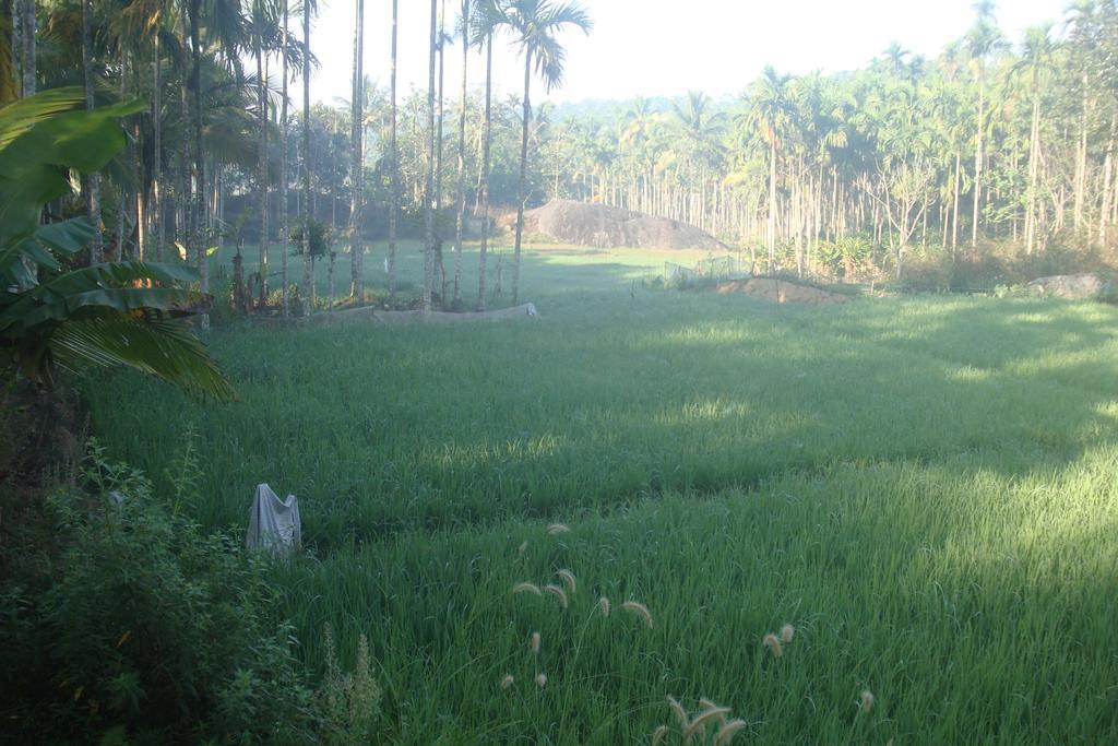 Wayanad Gate Resort Mananthavady Extérieur photo